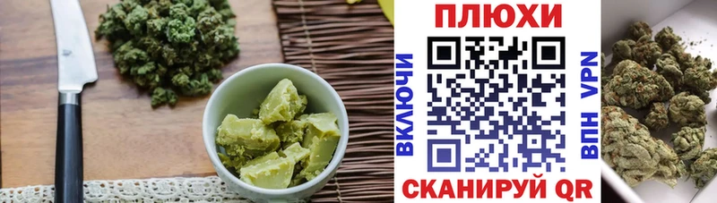 дарнет шоп  Велиж  Cannafood конопля 