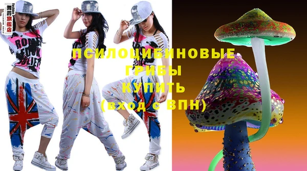 гашик Бронницы