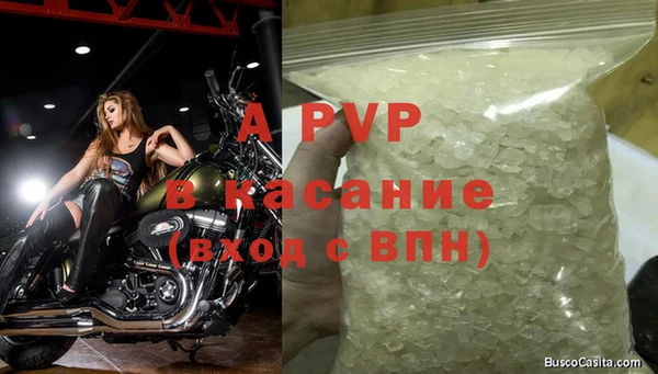 стаф Белокуриха