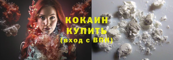 спиды Бородино
